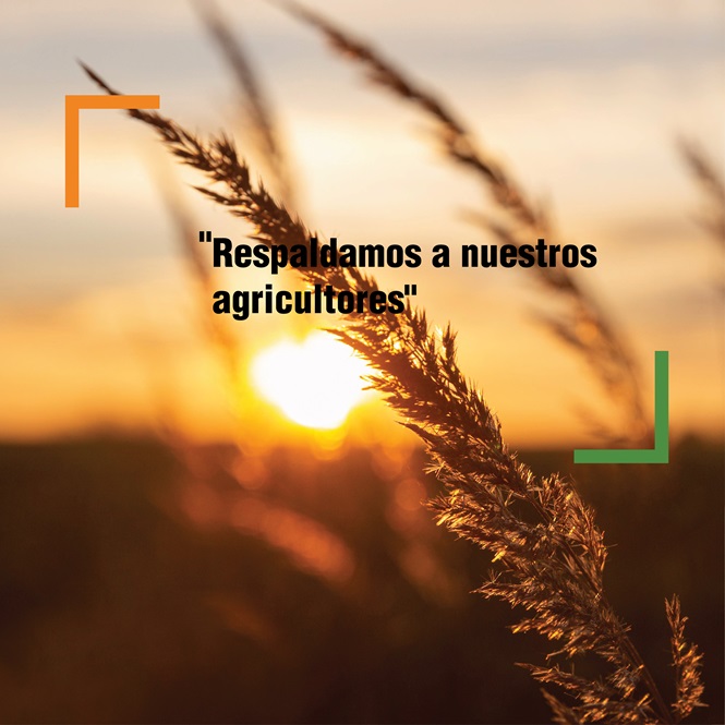 Sobre Nosotros 